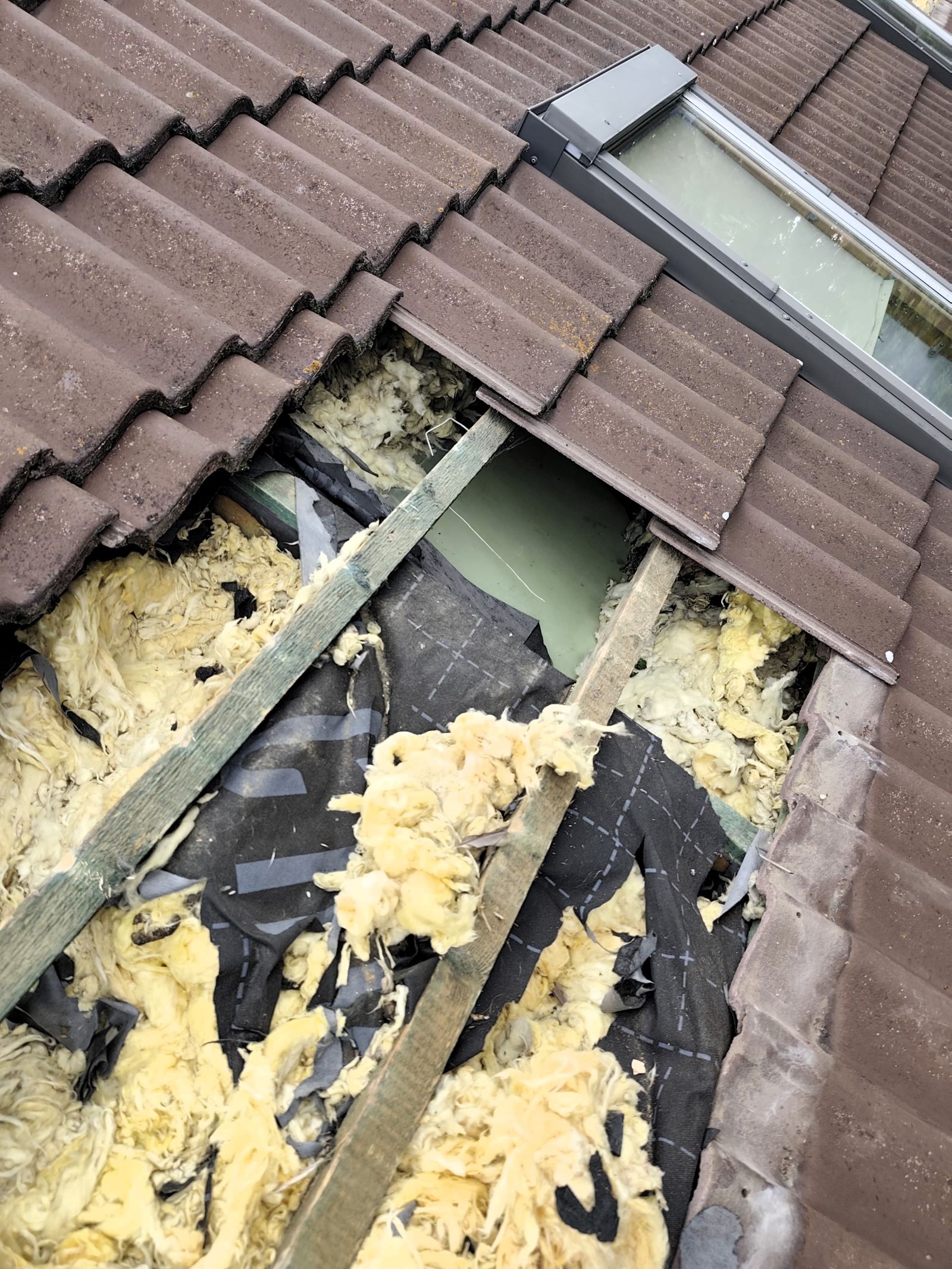 zniszczona welna przez kuny