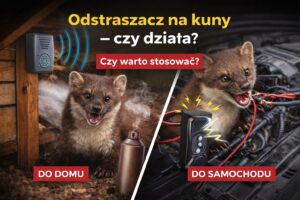 Odstraszacz na kuny – czy działa i jaki wybrać?